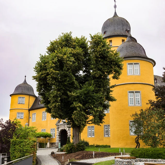 Außenaufnahme des Schloss Montabaur, aufgenommen direkt vor dem Schloss, davor ein Baum