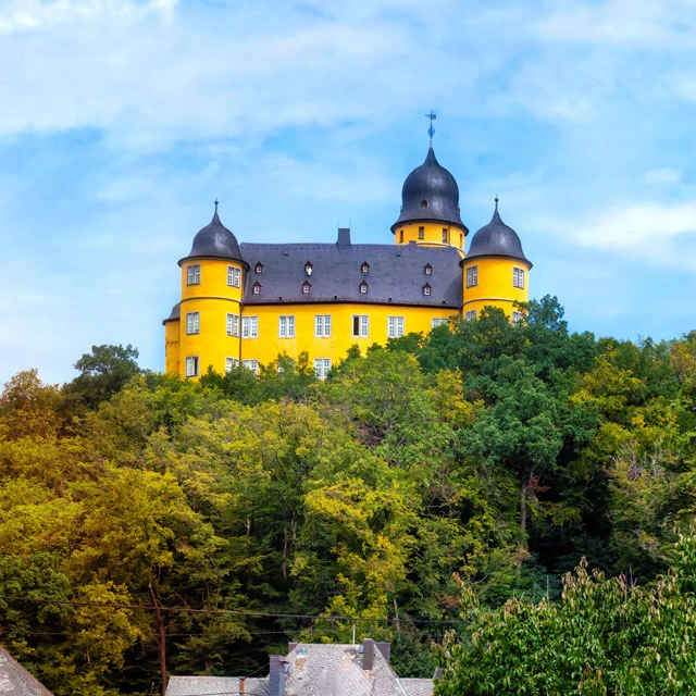 Außenaufnahme des Schloss Montabaur von einer raufschauenden Perspektive, ein kleiner Wald im Vordergrund